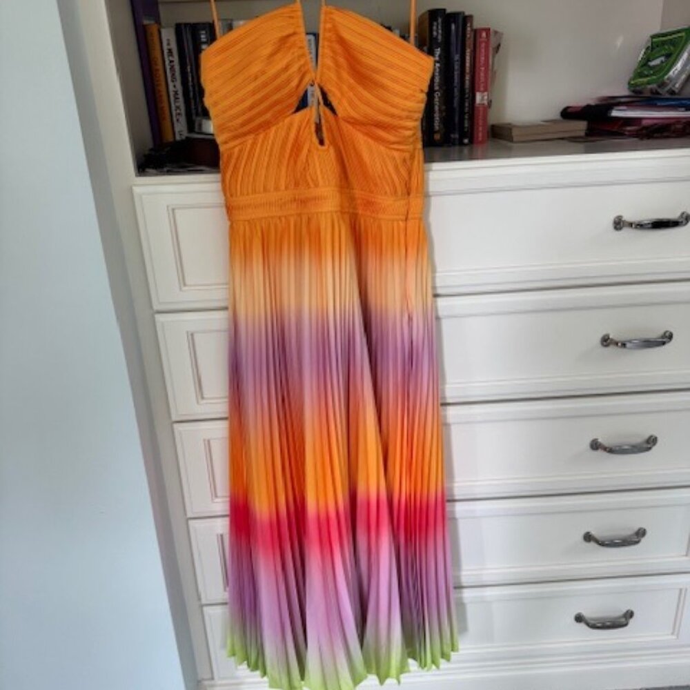 Jonathan Simkhai Ombre dress